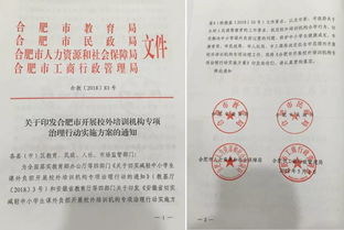 揭秘，培训机构办学许可证背后的真相与行业规范