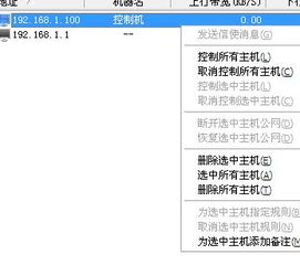 深入了解P2P终结者软件，下载、使用及安全指南