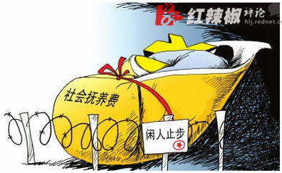 社会抚养费，政策解读与社会影响