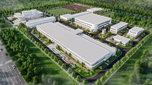 工程监理职责，确保项目成功的守护者