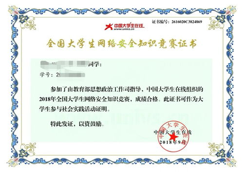 守护花朵，全面解读学生安全责任书的重要性与实施细节