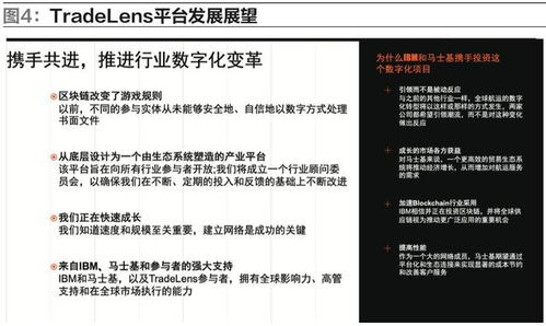 深入解析反索赔案例，策略、技巧与实践