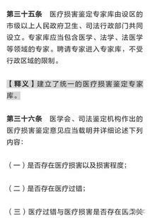 超生处罚条例，政策解读与社会影响分析
