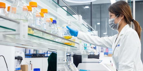 探索蛋白分离机，科技如何助力蛋白质提取与纯化