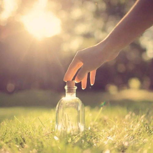 善意的代价，在冷漠世界中的温暖选择