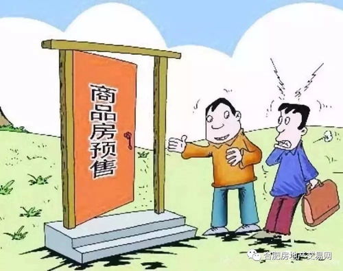 拥抱金色未来，养老政策新政，为您的晚年生活添彩