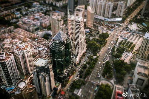 湖南人在深圳，湘情湘味，共筑梦想之城