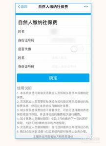 全面指南，个人如何轻松缴纳社保