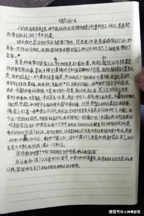 从心出发，如何撰写一份真诚而有效的学生贫困申请书