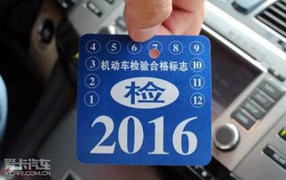 分公司年检，全面指南与实用技巧