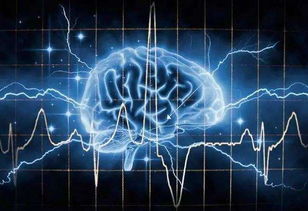 探索大脑的神奇魔术，条件反射的奥秘