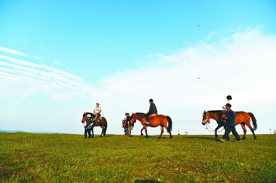 探索草原的奥秘，自然之美与生态平衡的宝库