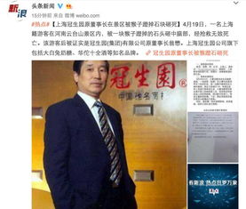 意外与风险管理，从猴子砸死董事长事件探讨企业安全与危机应对