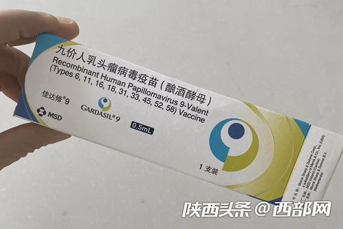 黄牛乱象，九价HPV疫苗的非法交易与公众健康危机