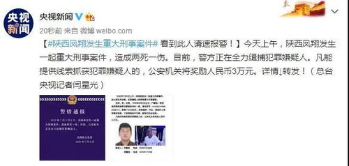 凤翔重大刑事案件，深入了解与安全防范
