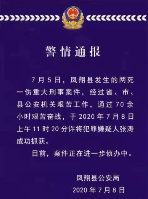凤翔重大刑事案件，深入了解与安全防范