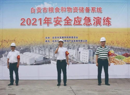 凤翔重大刑事案件，深入了解与安全防范