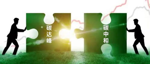 理解与共情，面对精神病人攻击事件的深入探讨