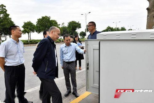 守护数字堡垒，个人信息保护指南