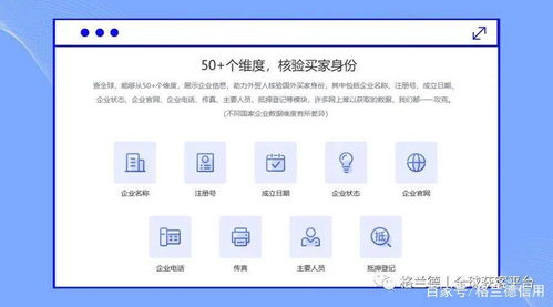 揭开企业身份的神秘面纱，企业组织机构代码查询指南