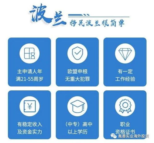 揭开企业身份的神秘面纱，企业组织机构代码查询指南