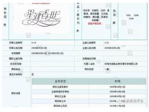 揭开企业身份的神秘面纱，企业组织机构代码查询指南