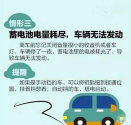 当小贼咬你一口，应对老鼠咬伤的实用指南