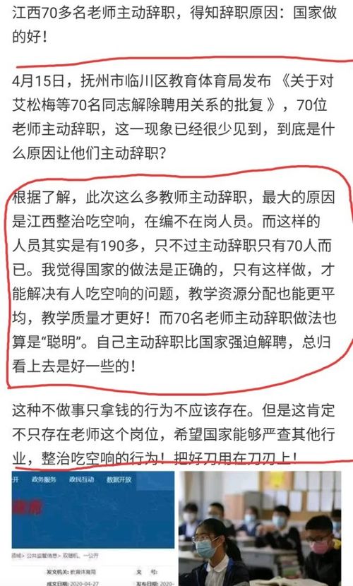 教育园丁的新篇章，教师辞职后养老保险的指南