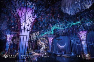 生态水族箱，自然之美与现代科技的和谐融合