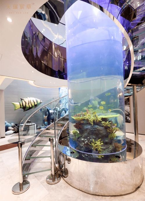 生态水族箱，自然之美与现代科技的和谐融合