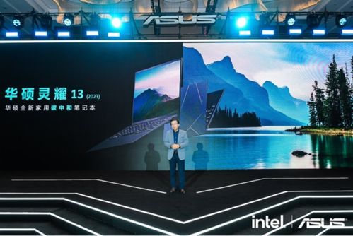 生态水族箱，自然之美与现代科技的和谐融合