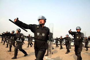 广东省监狱管理局，守卫正义的堡垒，揭秘背后的管理与改革