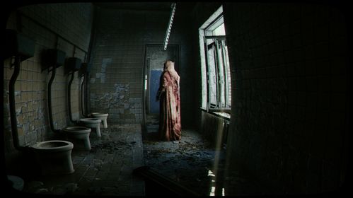 揭开神秘面纱，探索世界十大禁止恐怖照片背后的故事