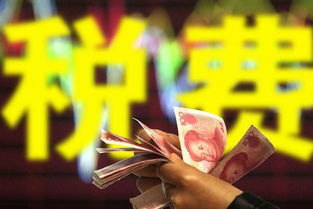 深入了解房贷利息抵个税，如何合理利用政策减轻税负