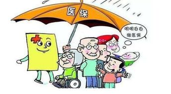 成都市社会保险，保障生活的安全网