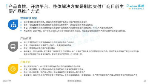 深入了解纳税人识别号，位数、功能与重要性