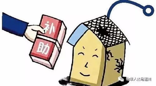 危房改造政策，安全居住的保障与社会进步的体现