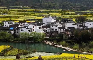 乡宁房屋出租，探索乡村生活的新机遇