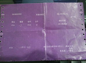 如何轻松辨别河南国税局发票真伪，简单步骤与实用技巧