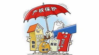 无过责任险，保护您的财产与责任的盾牌