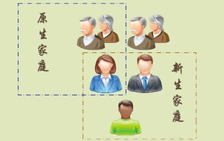 并非独生子，多元家庭结构下的亲子关系与成长影响