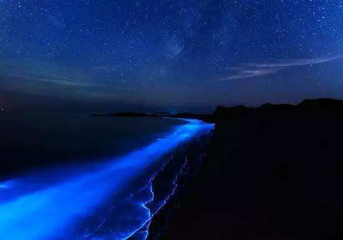 大连荧光海滩，自然奇观与科学探索之旅