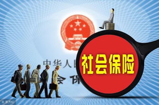 新农村养老保险政策，为农民的金色晚年保驾护航