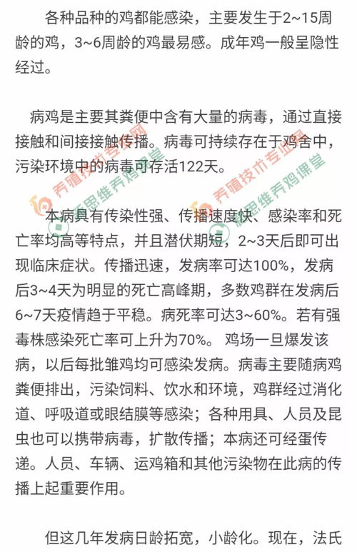 全面解析，胃肠炎的成因、症状、治疗与预防策略