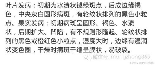 辣椒辣手的快速缓解方法及预防策略