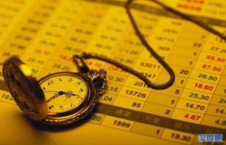 深入解析保证金比例，金融市场的风险管理工具