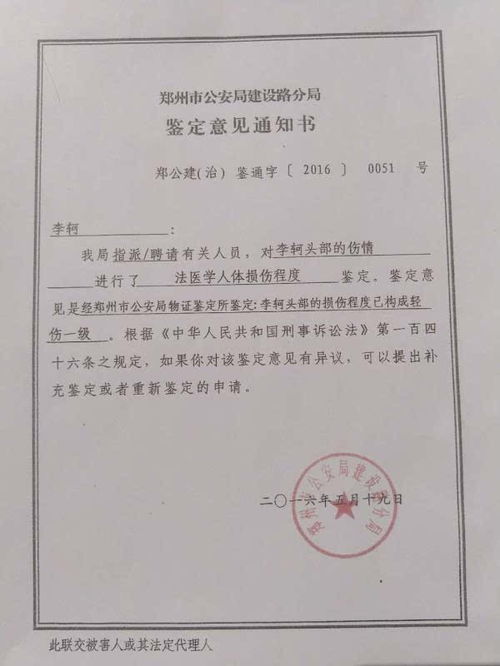 正义的天平，深度解析处罚通知书背后的法律逻辑与社会影响