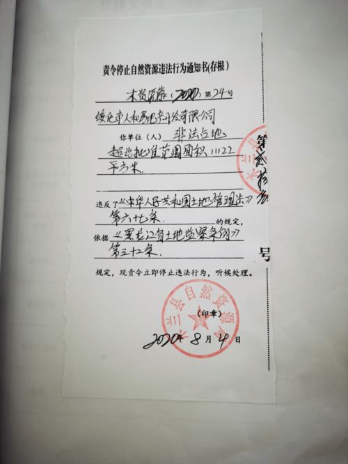 正义的天平，深度解析处罚通知书背后的法律逻辑与社会影响