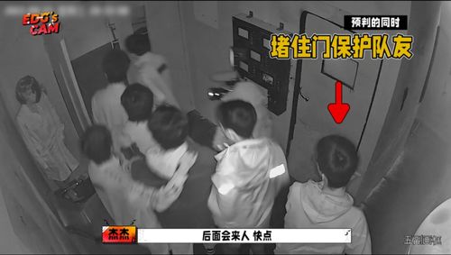 深海宝藏，揭秘世界最大珍珠的传奇故事