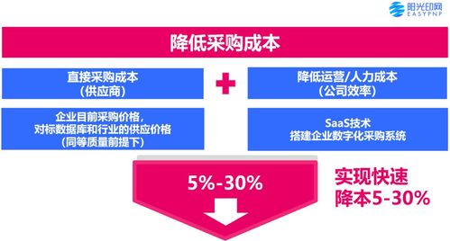 了解上牌照费用，成本、流程与节省技巧